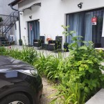 Vila Ana Cluj-Napoca