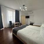 Pensiunea Brici Cluj-Napoca