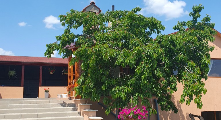Pensiunea Casa Ana Cluj-Napoca