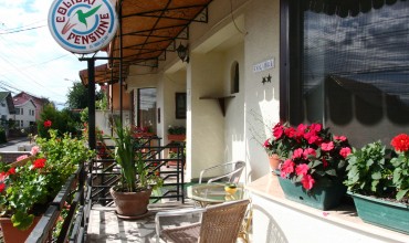 Pensiunea Colibri Cluj-Napoca