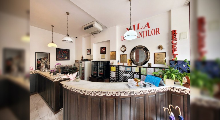 Vila Dorobantilor Cluj-Napoca