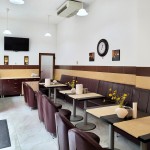 Vila Dorobantilor Cluj-Napoca