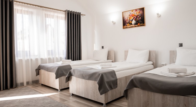 Pensiunea Pensiunea Casa Darius Cluj Cluj-Napoca