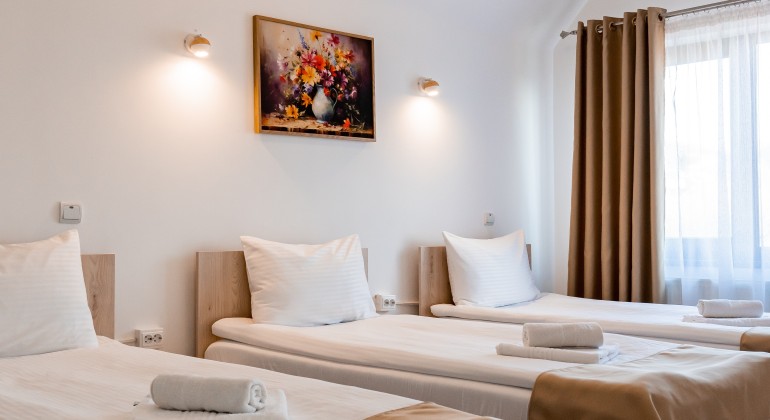 Pensiunea Pensiunea Casa Darius Cluj Cluj-Napoca